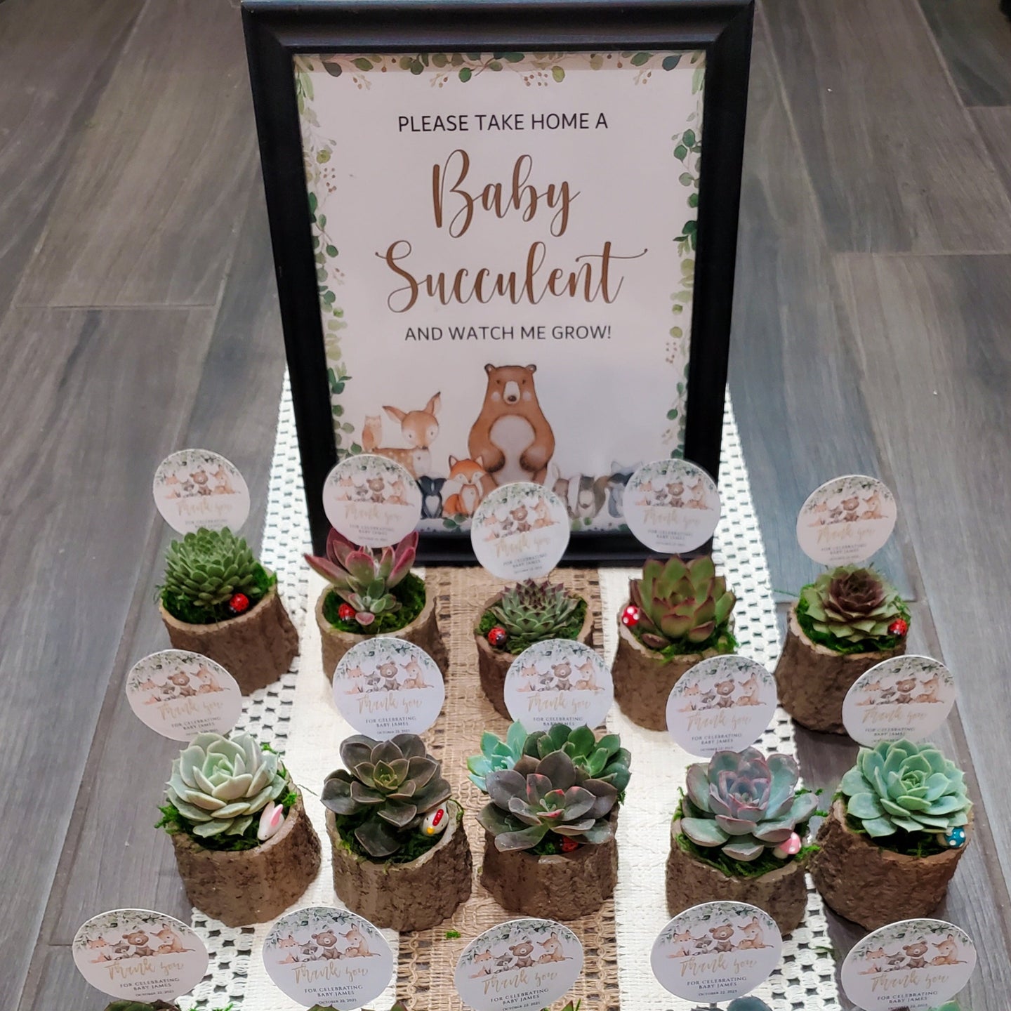 Woodland Themed Succulent Favors